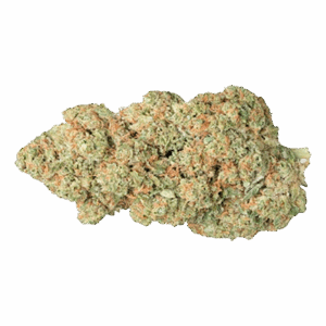 Budland Flores CBD - Blue Gelato