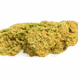 Tropical Fruit - Budland CBD