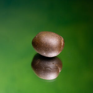 Iceolator- OFERTA 20%